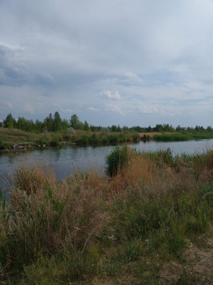 Безопасность на воде в летний период.