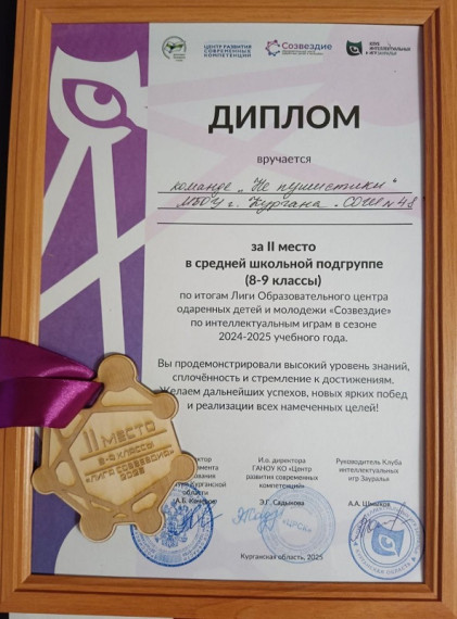 Финал Лиги «Созвездие»: сезон 2024-2025 года.