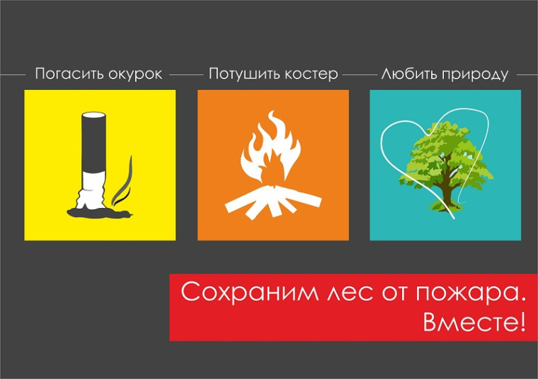 Информационная противопожарная кампания «Останови огонь!»..